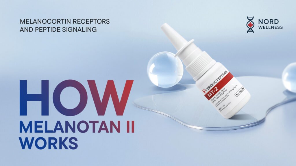 how-melanotan-ii-works-melanocortin-receptors-and-peptide-signaling