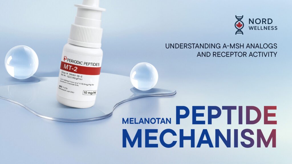 melanotan-peptide-mechanism-understanding-α-msh-analogs-and-receptor-activity
