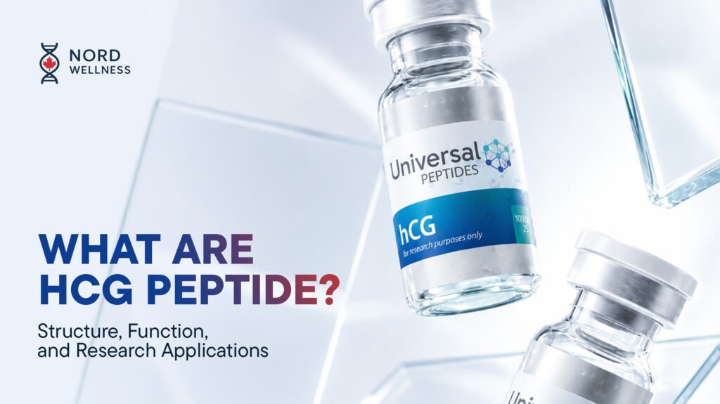 what-are-hcg-peptide-structure-function-and-research-applications