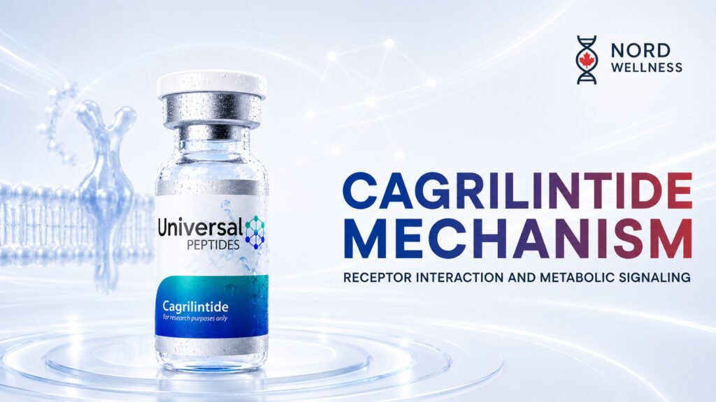 cagrilintide-mechanism
