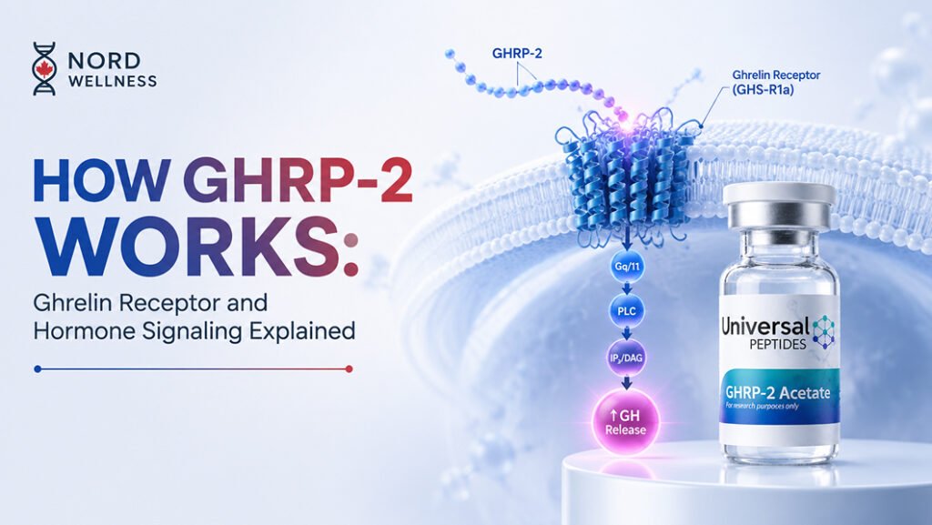 how-ghrp-2-works